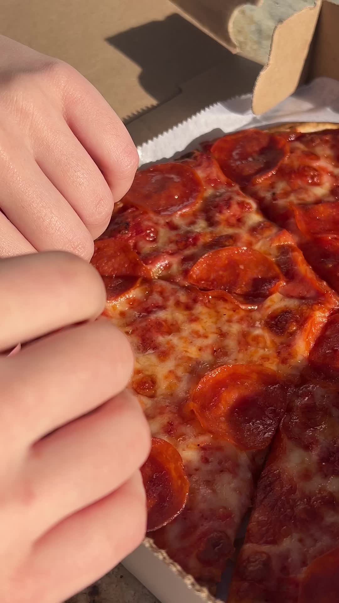 SkinnyPizza TikTok video